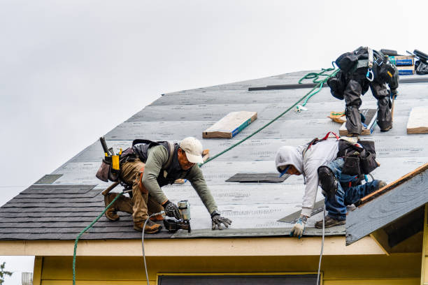 Professional Storm Damage Roof Repair technician working in Rogersville, AL